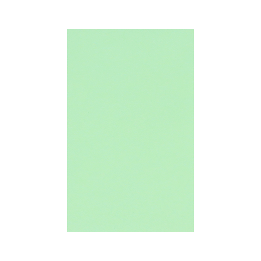 Loonzakje - Mint | 104 x 65 mm|Voorkant